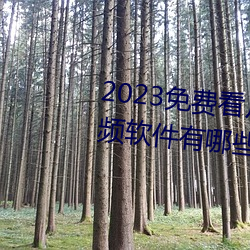 2023免费看片免费播放高清短视频软件有哪些