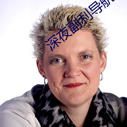 深夜(夜)副利导(導)航(航)系统
