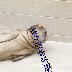 美女忍者攻略视频