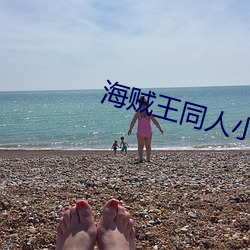 海贼(賊)王同人小说(說)
