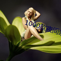1000款夜间禁用软件app