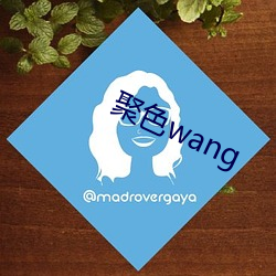 聚(聚)色wang