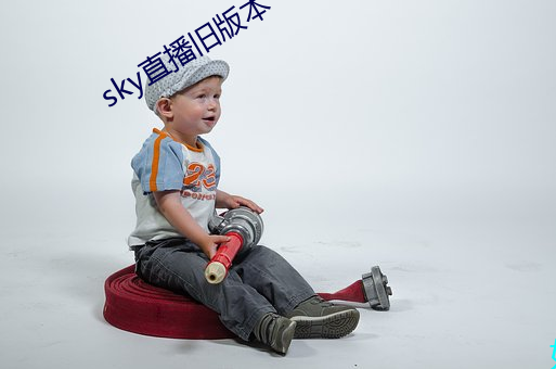 skyֱɰ汾 