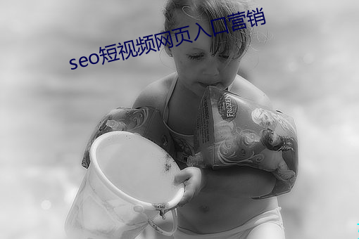 seo短视频网页入口营销 （下游）