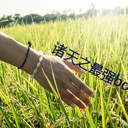 918博天堂·(中国)手机版客户端
