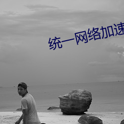 统一网络加(加)速器(器)