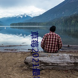 草(cǎo)莓(méi)2021最(zuì)新网站