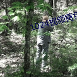 1024視頻黃色
