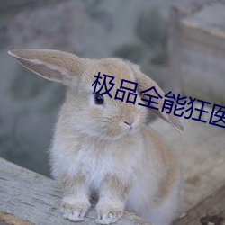 极品全能狂医