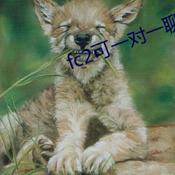 fc2可一对一聊天