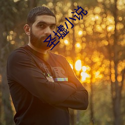聖墟小說