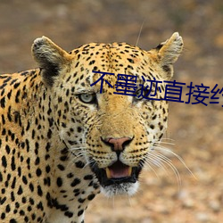 不(不)墨迹直接(接)约的(的)软件(件)