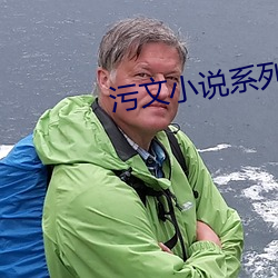 污文小(xiǎo)说系列