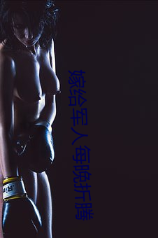 嫁给军(jūn)人每晚(wǎn)折腾