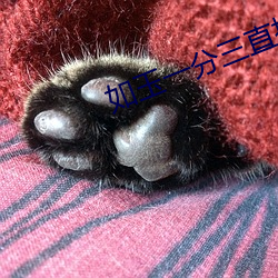如玉一分三直播