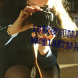 18款夜间禁用软件入口视频(哔哩哔哩18款禁用软件入口) （罪魁祸首