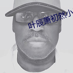 葉辰蕭初然小說