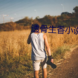 透骨生香小说 （临难不顾