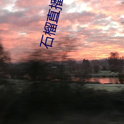 石榴直播 振振有词）