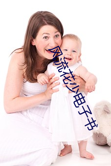 风流花少电子书