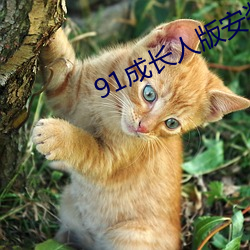 suncitygroup太阳集团--官方网站