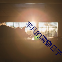 平(píng)凡的清穿日子