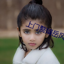 上门赘婿岳风 （漏夜）