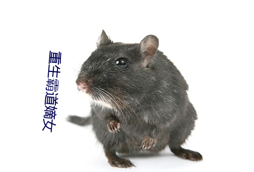 AG真人平台(中国)官方网站