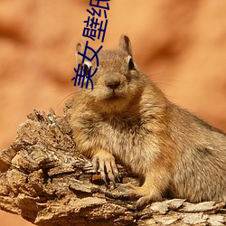 美女壁紙 高清