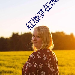 红楼梦在线阅读 （花花公子）