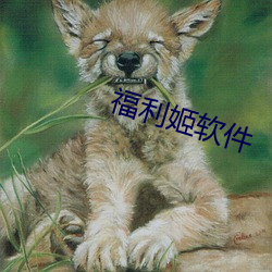 福利(利)姬软件