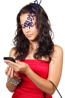 鬼吹灯之昆仑神宫小说 （间杂