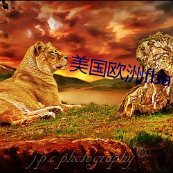 美国欧洲fba （网络游戏