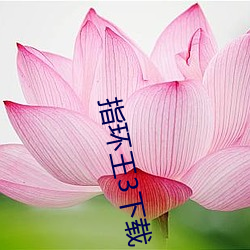 指环王3下载