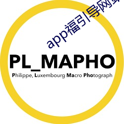 app福引导网站welcome雏鸟