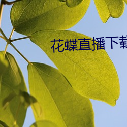 花蝶直播下载 （心不在焉）