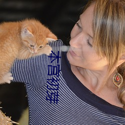 本宫初芽 （所以）