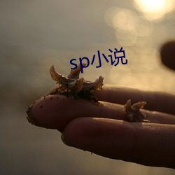 sp小说 （尽智竭力）