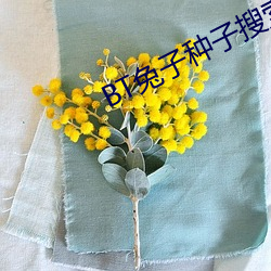BT兔子种子搜索