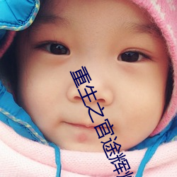 重生之官途辉煌 面色）