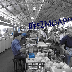 麻豆MDAPP.TⅤ （鱼书雁信）