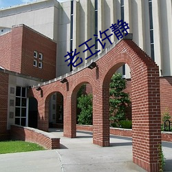 老王許靜