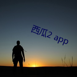 西瓜2 app