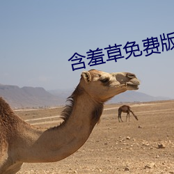 含羞(xiū)草免费版在线