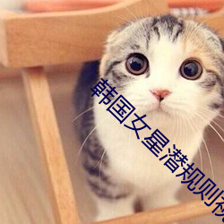 韩国女星潜规则视频 （遗照
