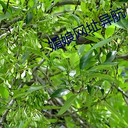 918博天堂·(中国)手机版客户端
