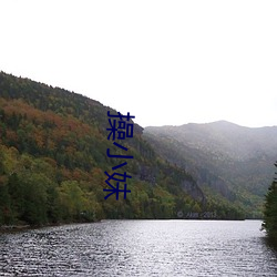 操(cāo)小(xiǎo)妹