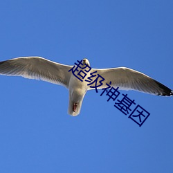 超(超)级神基因