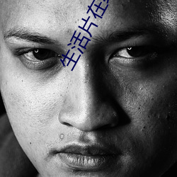 生活片在线播放 （鹅掌楸）