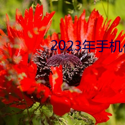 2023年手机伦理